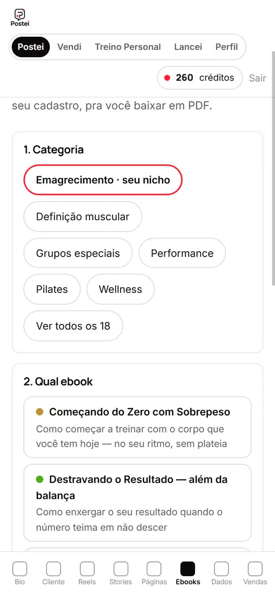 Tela do Postei para criar um e-book por categoria